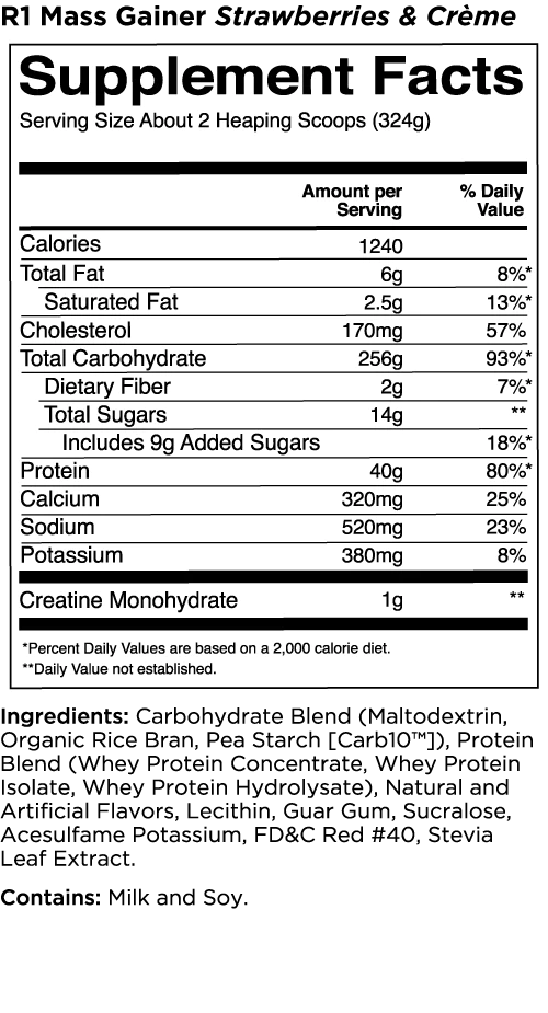 Rule 1 - LBS (Mass Gainer Protein) Pure Nutrition