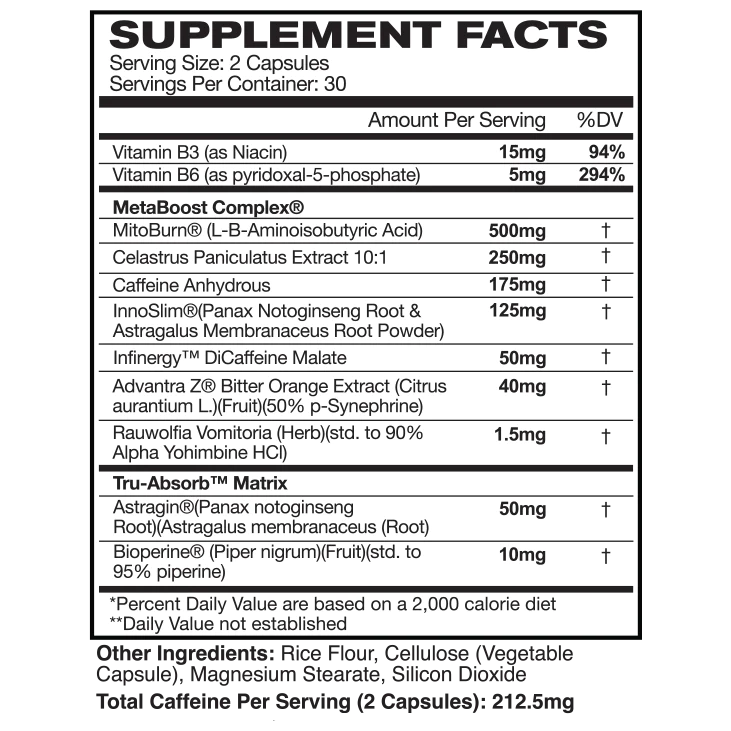 AstroFlav - Meta Burn AM - Metabolism Booster Pure Nutrition