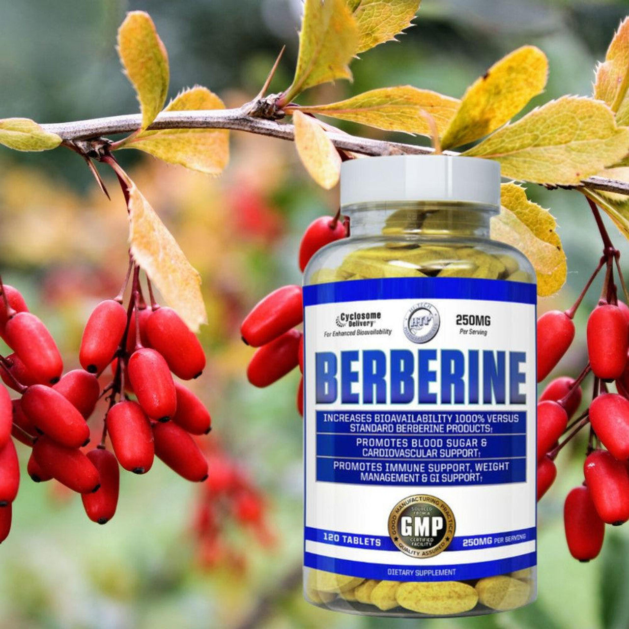 Hi-Tech Pharmaceuticals Berberine 120 Tablets Pure Nutrition