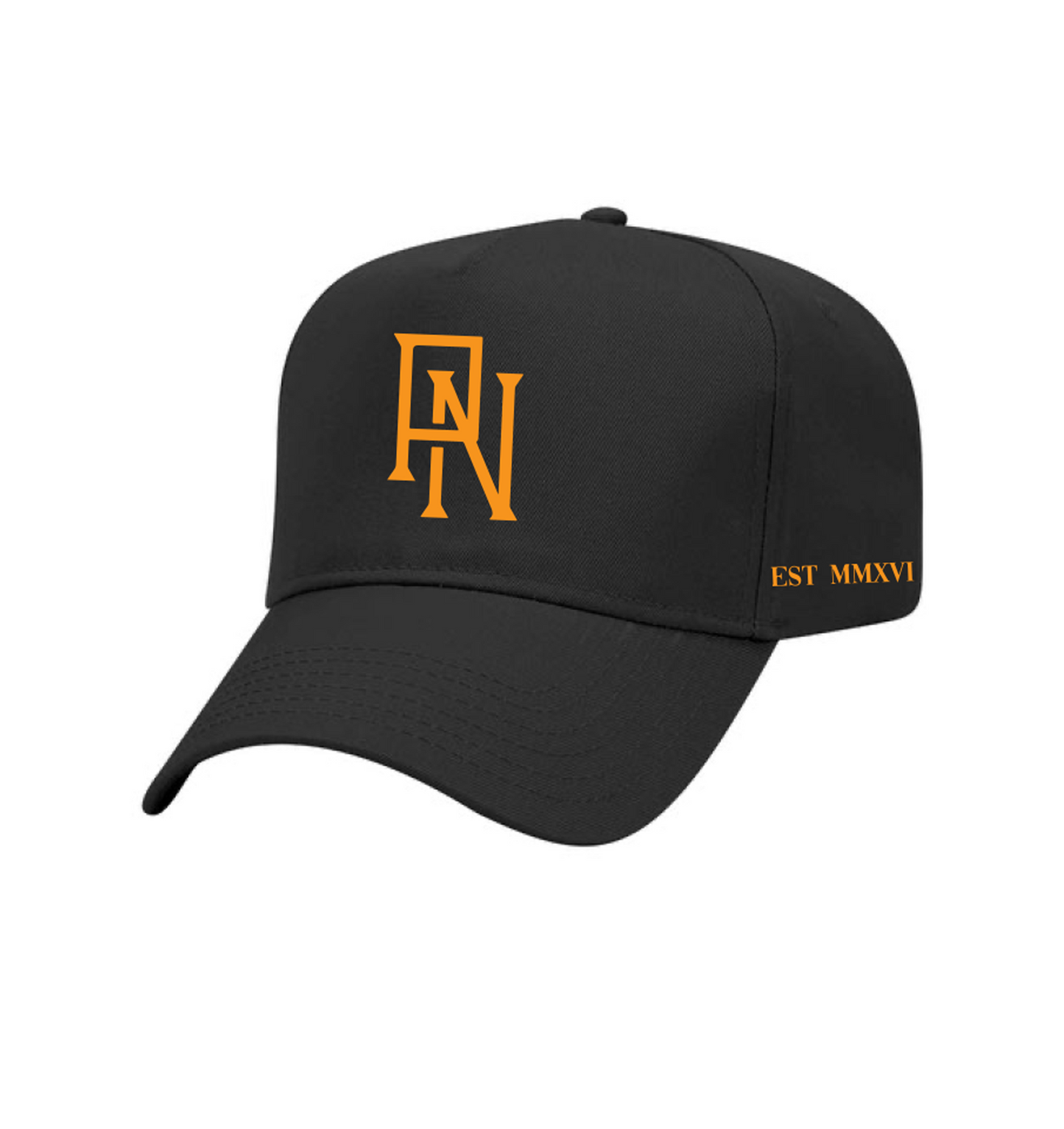 Snap Back Hat - Pure Nutrition